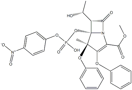 蛋白酶K